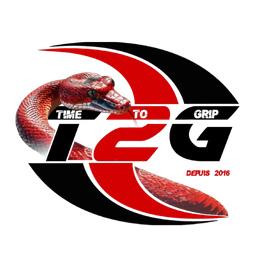 T2G Esport